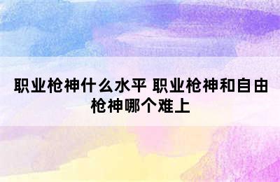 职业枪神什么水平 职业枪神和自由枪神哪个难上